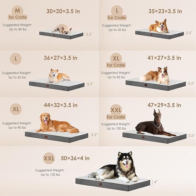 EHEYCIGA Orthopedic XXL Dog Beds for Jumbo Dogs with Removable Washable Cover, Beige, 50x36