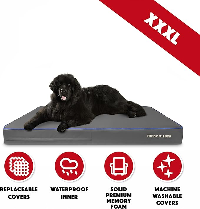 The Dog’s Bed Orthopedic Memory Foam Dog Bed, XXXL Grey/Blue, Pain Relief for Arthritis, Hip & Elbow Dysplasia, Post Surgery, Lameness, Supportive, Calming, Waterproof Washable Cover
