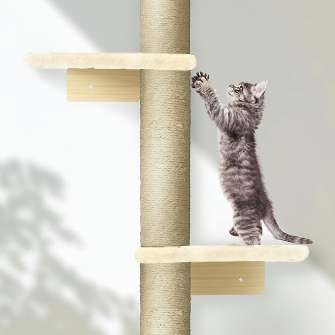 PAWSCRAT Wall-Mounted Cat Tree, 5 Tier Floor to Ceiling Cats Tower, 80 Inch Wall-Mounted Cat Scratching Post, Space Saving Cat Furniture and Easliy Climb for All Cats, Beige