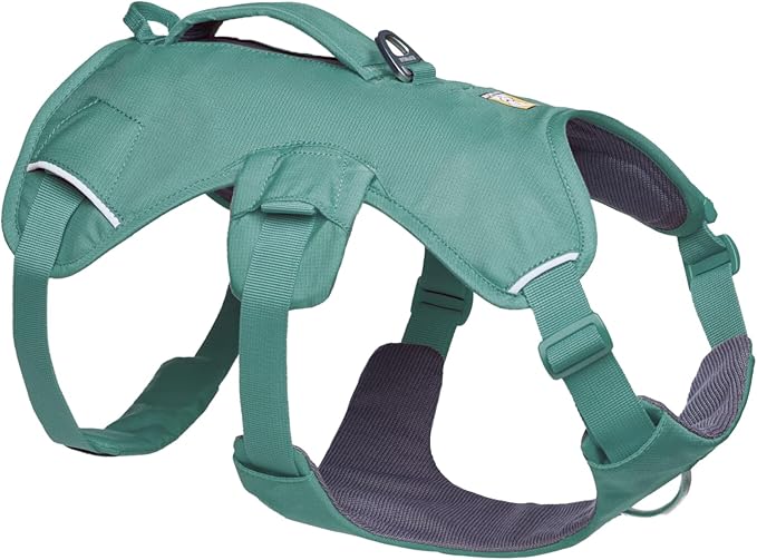 Ruffwear, Web Master, Multi-Use Support Dog Harness, Hiking and Trail Running, Service and Working, Everyday Wear, River Rock Green, X-Small