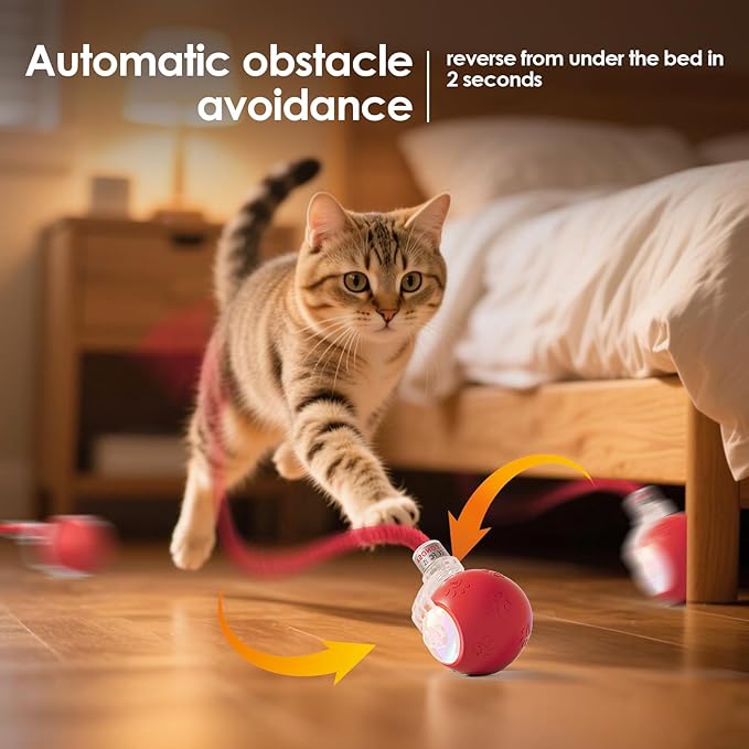 Interactive Cat Toys for Bored Indoor Cats - Motion Activated, RGB Lighting, 2 Speed Settings & 3 Modes - for Cats & Kittens!