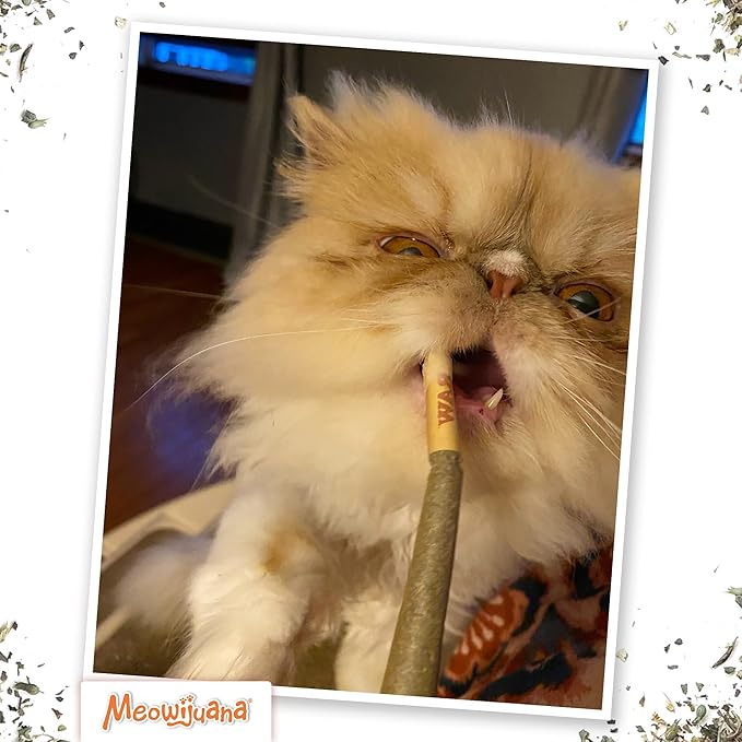 Meowijuana Catnip Rollies King Size | Hand Harvested and Rolled Dried Premium Ground Catnip | High Potency | Grown in North America | Feline and Cat Lover Approved