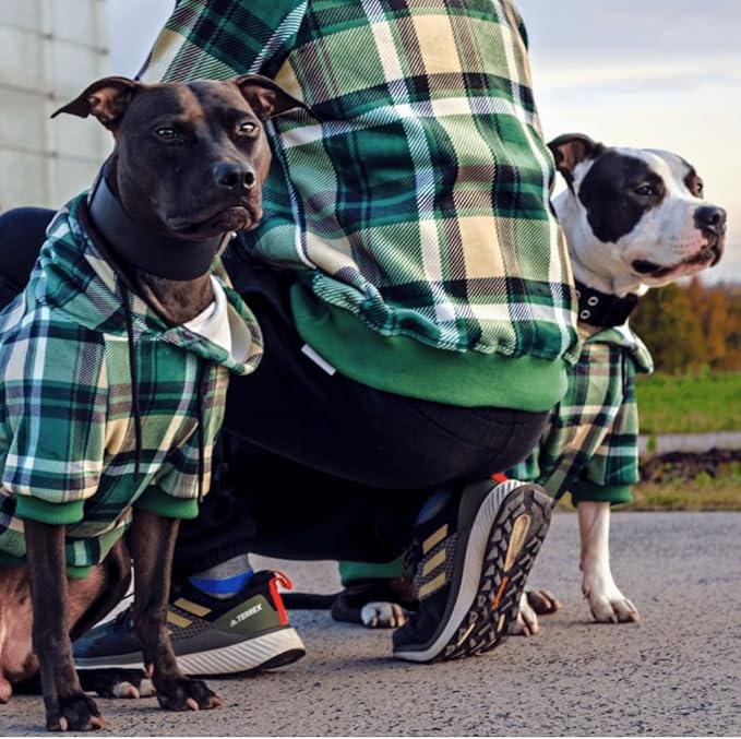 Spark Paws Dog Hoodie – Premium Dog Sweater for Small, Medium, and Large Dogs | Warm Outfits for French Bulldogs, Pitbull, Puppy, Winter Jacket Alternative - Green Plaid - XL
