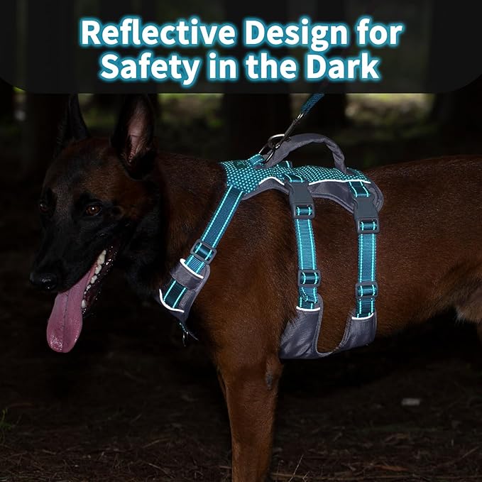 Huntboo Reflective Dog Harness with Handle, Escape Proof, No Slip, Breathable, Lightweight, Adjustable Lift Harness for Small, Medium, and Large Dogs Walking, Training, and Running Gear(Teal Blue,L)
