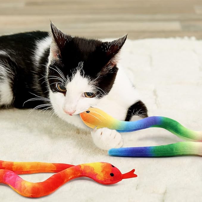CiyvoLyeen 5 Pack Snake Cat Toys Catnip Toys for Indoor Cats Kitten Supplies Interactive Snakes Cat Toy Birthday Gift for Cat Lovers Dental Health Chew Toy