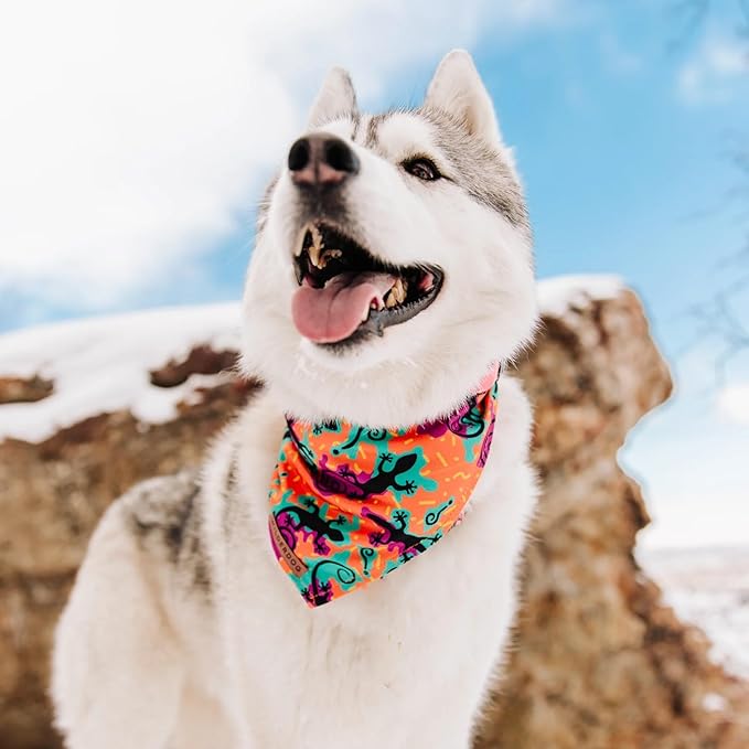 Wilderdog Dog Bandana with Lightweight Quick Drying Poly-Blend Mesh Material in The Lizards