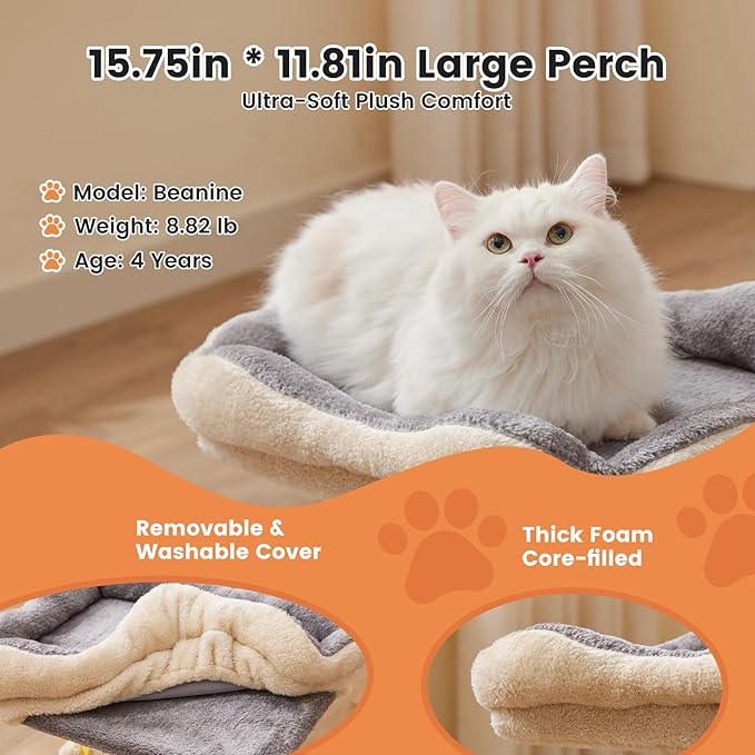 Gardner Pet 20" Cat Tree, Solid Wood Small Cat Tree, Removable Bed, Sisal Scratching Post & Hanging Toys, Compact Cat Tower Perch for Kittens & Indoor Cats (Beige, Square)