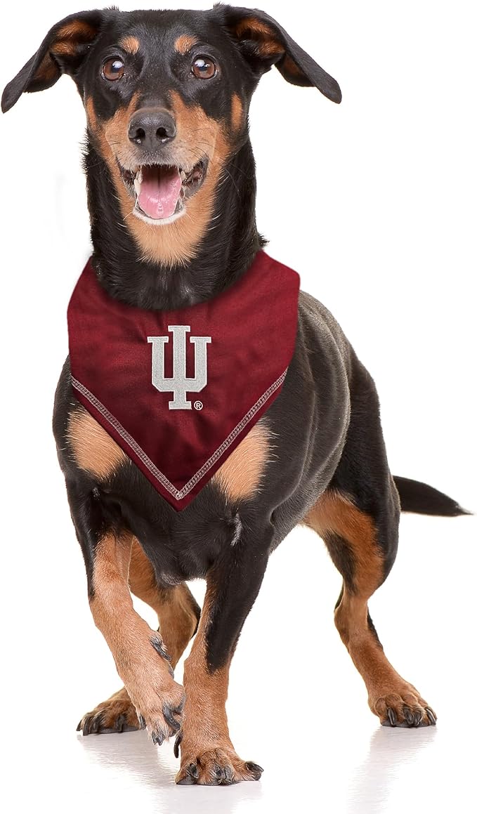 Pets First NCAA Indiana Hoosiers TIE Bandana, Size Small/Medium. Dog Bandana Scarf Bib for Pet Cat Dog. The Ultimate Game-Day, Party Bandana