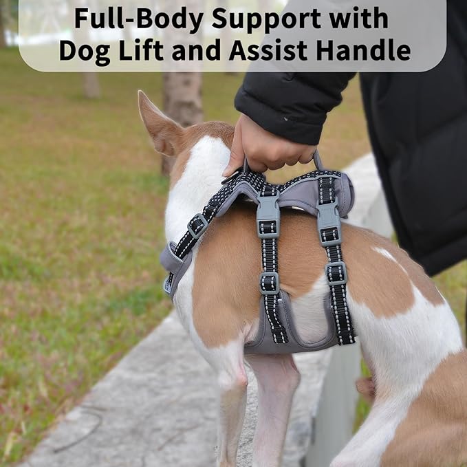 Huntboo Reflective Dog Harness with Handle, Escape Proof, No Slip, Breathable, Lightweight, Adjustable Lift Harness for Small, Medium, and Large Dogs Walking, Training, and Running Gear(Black,S)