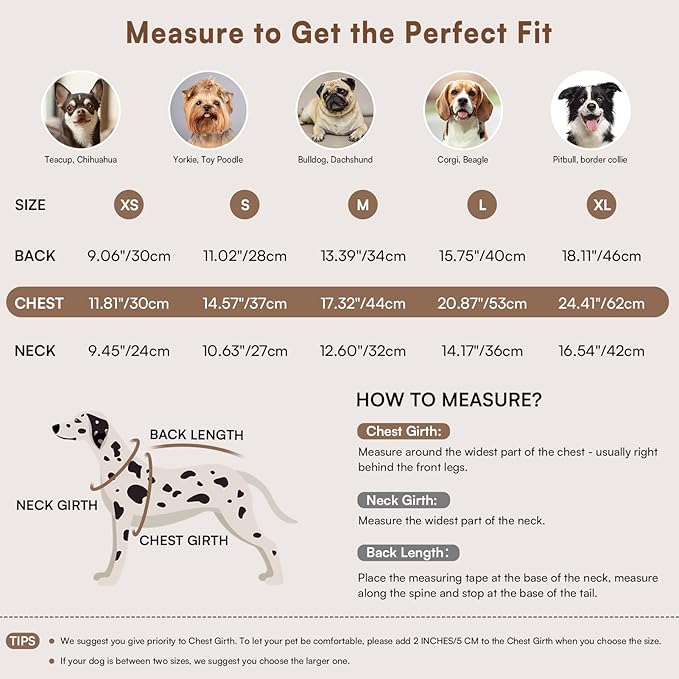 Queenmore Warm Dog Sweater, Soft Pet Knitwear, Knitted Pullover, Winter Pet Clothes for Small Medium Dogs Cats