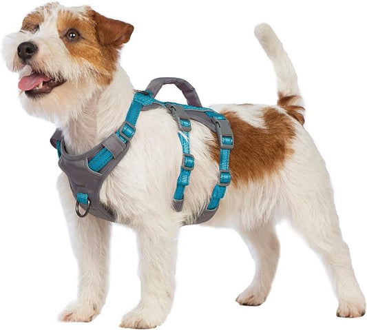 Huntboo Reflective Dog Harness with Handle, Escape Proof, No Slip, Breathable, Lightweight, Adjustable Lift Harness for Small, Medium, and Large Dogs Walking, Training, and Running Gear(Teal Blue,XS)
