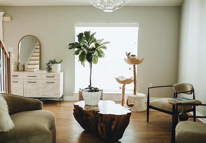 Modern Cat Tree Tower, Real Branch luxury Cat Condo, Wood Cat Tower, Cat Scratching Tree, Cat Condo, Cat Lover Gift, Luxury Cat, Cat Gifts by Mau Lifestyle