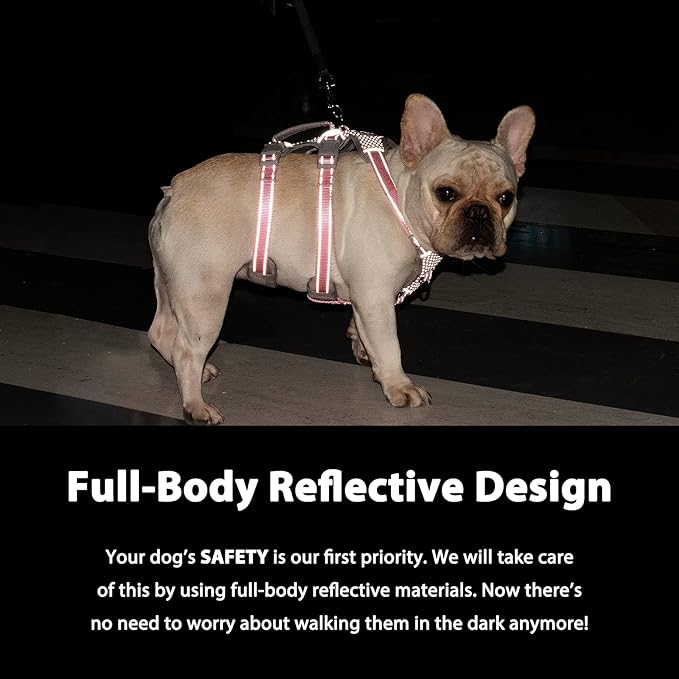 Huntboo Escape Proof Dog Harness, No Pull Reflective Harness with Lift Handle, Adjustable Pet Vest with Front and Back Leash Clips for Small Medium Large Dogs Walking Hiking Training (Teal,L)