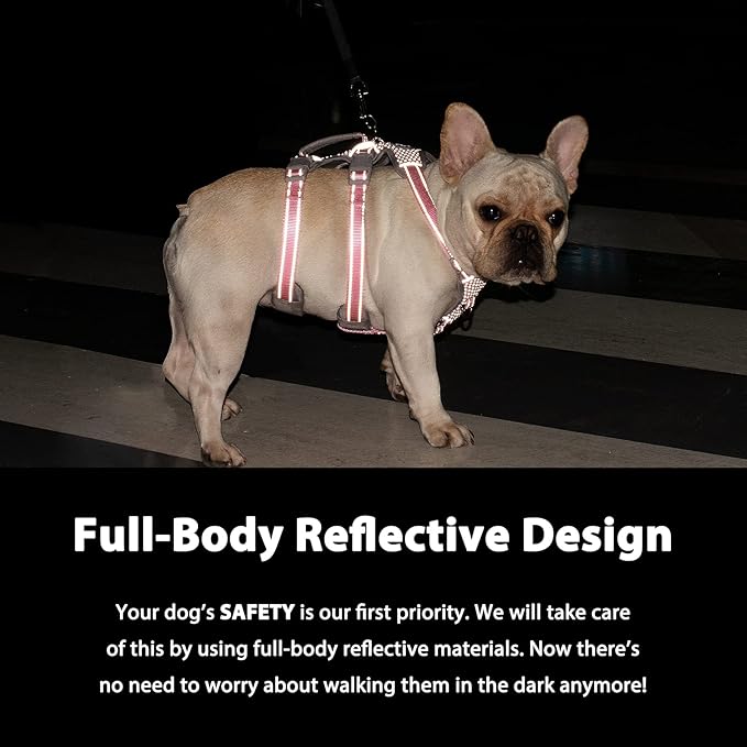 Huntboo Escape Proof Dog Harness, Escape Artist Harness, Fully Reflective Harness with Padded Handle, Breathable,Durable, Adjustable Vest for Medium Dogs Walking, Training, and Running Gear (Teal,XS)