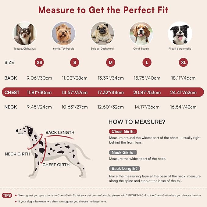 Queenmore Warm Dog Sweater, Soft Pet Knitwear, Knitted Pullover, Vlentines Day Gifts Winter Pet Clothes for Small Medium Dogs Cats Red