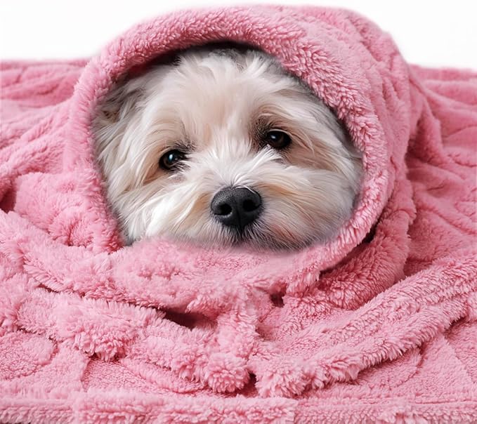 Luciphia Small Dog Blanket Washable Pet Bed Cover Soft Fluffy Puppy Blanket with Premium Fleece 300GSM Cozy Calming Cat Blankets for Indoor Cats Pink 41x31 inch