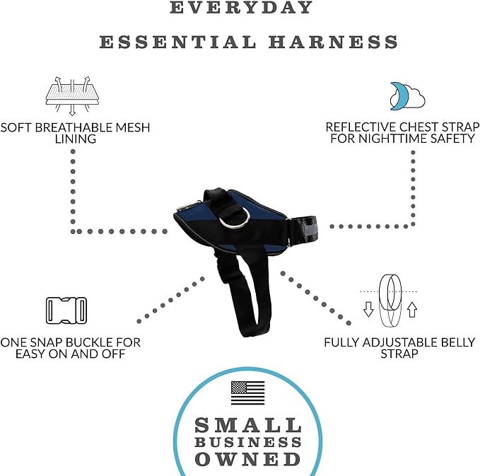 ShawnCo Essential Dog Harness, No-Pull Pet Vest with 3 Leash Clips, No Choke, Reflective, Adjustable and Padded, for Easy Walking and Training for Small, Medium and Large Dogs (Pacific Blue, L)
