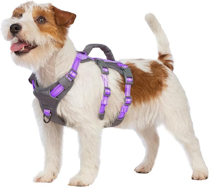 Huntboo Reflective Dog Harness with Handle, Escape Proof, No Slip,Breathable, Lightweight,Adjustable Lift Harness for Small,Medium,and Large Dogs Walking, Training,and Running Gear(Lavender Purple,XS)