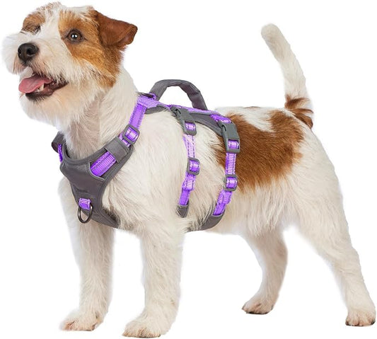 Huntboo Reflective Dog Harness with Handle, Escape Proof, No Slip,Breathable, Lightweight,Adjustable Lift Harness for Small,Medium,and Large Dogs Walking, Training,and Running Gear(Lavender Purple,XS)