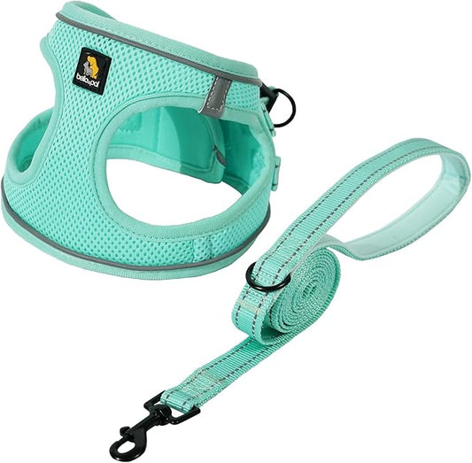 BELLA & PAL Step in Vest Harness for Small and Medium Dogs, No Pull Small Dog Harness with Leash Set, Comfortable Air Mesh Dog Vest Harness with Reflective Strip (Light Green, XS)