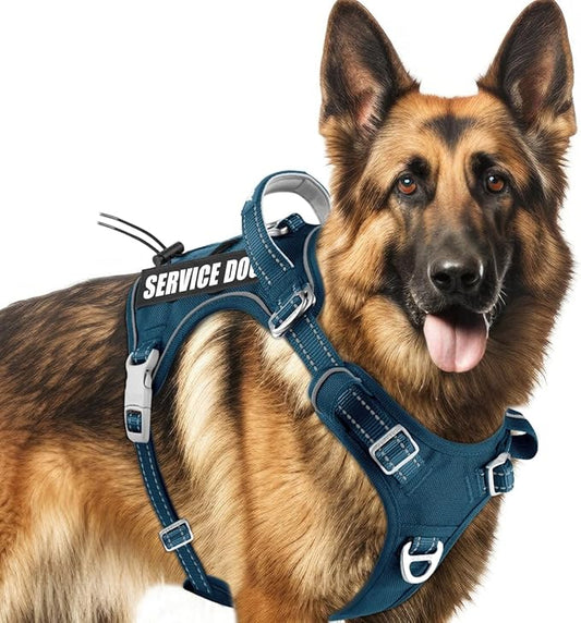 BARKBAY Service Dog Vest Tactical Dog Harness Medium Large Sized Dog Tags Personalized No Pull Adjustable Harness Reflective Working Training Easy Control Military Molle System(Legion Blue,XL)
