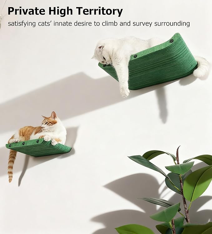 Cat Wall Shelves for Inside,Sound Proof PET Felt Cat Furniture Set,Scratch Resistant Wall Mouted Perch for Kitty Climbing, Sleeping and Lounging (Set of 4-Green)