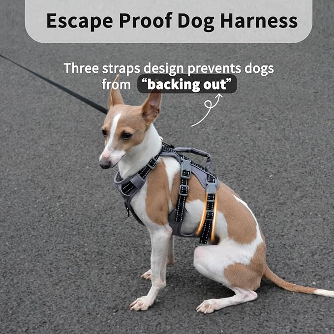 Huntboo Reflective Dog Harness with Handle, Escape Proof, No Slip, Breathable, Lightweight, Adjustable Lift Harness for Small, Medium, and Large Dogs Walking, Training, and Running Gear(Black,L)