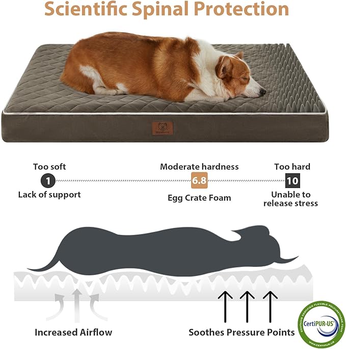 WNPETHOME Orthopedic Giant Dog Beds Large Sized Dog, Waterproof Extra Large Dogs Bed with Removable Washable Cover, Multi-Needle Quilting Dogs Crate Bed