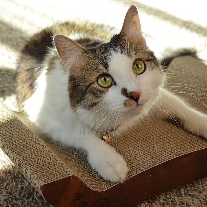 Necoichi Cardboard Cat Scratcher Bed for Indoor Cats - Cat Scratching Board, Horizontal Cat Scratch Pad Lounger with Reversible Usability and Extra Comfort for Lounge, Curved (17" Medium, Dark Cherry)