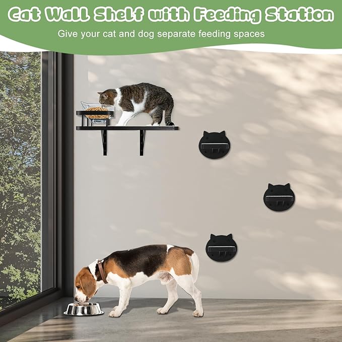 Brand Cat Wall Shelves with 3 Steps & Scratch Post, Includes 2 Food Shelves