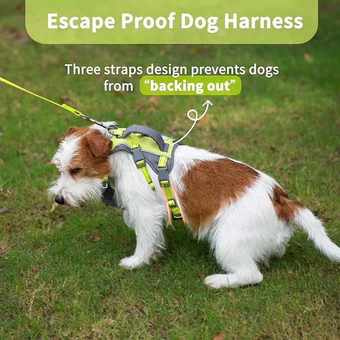 Huntboo Reflective Dog Harness with Handle, Escape Proof, No Slip, Breathable, Lightweight, Adjustable Lift Harness for Small, Medium, and Large Dogs Walking, Training,and Running Gear(Bright Green,S)