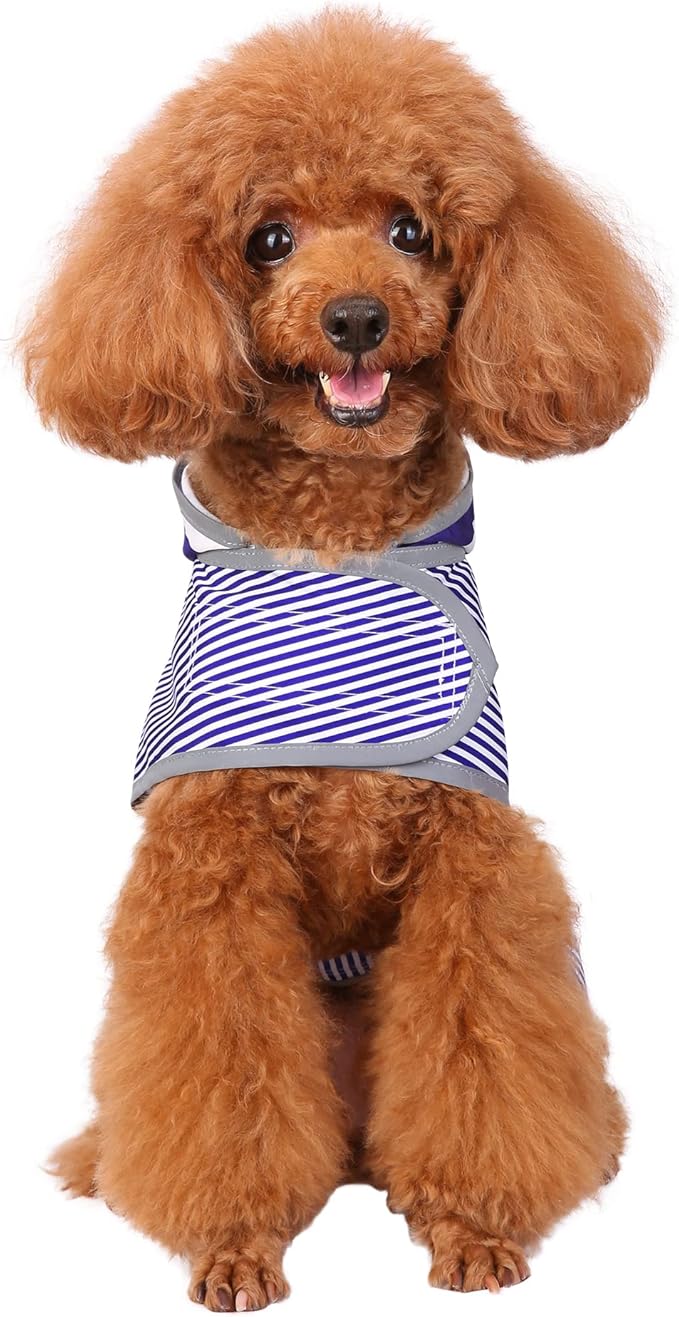 Dog Raincoat for Small Dogs Puppies Waterproof Hooded Rain Jacket with Reflective Strips Leash Hole & Poncho Adjustable Fit (Bluestripe,S)