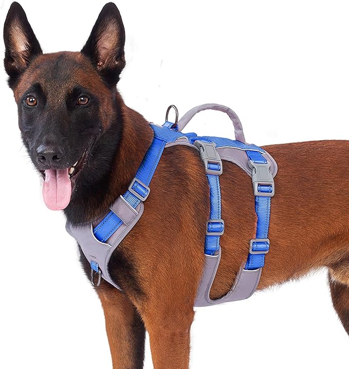 Huntboo Reflective Dog Harness with Handle, Escape Proof, No Slip, Breathable, Lightweight, Adjustable Lift Harness for Small, Medium, and Large Dogs Walking, Training, and Running Gear(Sea Blue,L)