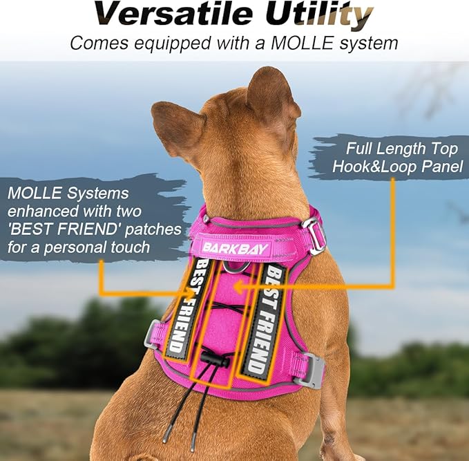 BARKBAY Service Dog Vest Tactical Dog Harness Medium Large Sized Dog Tags Personalized No Pull Adjustable Harness Reflective K9 Working Training Easy Control Military Molle System(Pink,M)