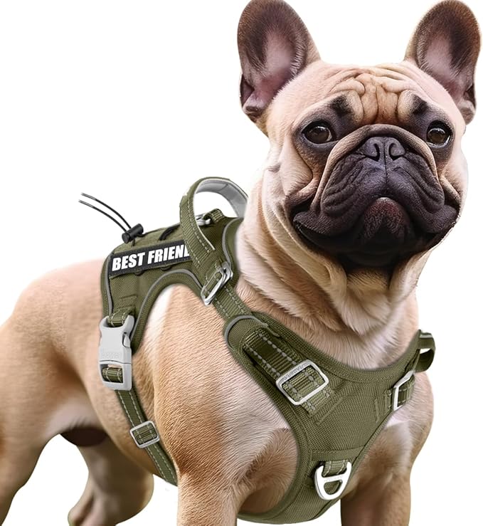 BARKBAY Service Dog Vest Tactical Dog Harness Medium Large Sized Dog Tags Personalized No Pull Adjustable Harness Reflective K9 Working Training Easy Control Military MolleSystem(Army Green,M)