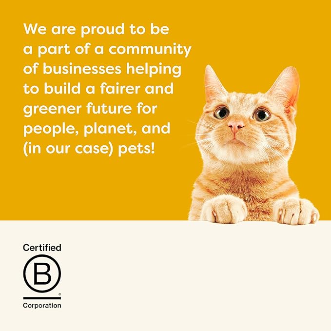 Applaws Natural Wet Cat Food in Gravy, Made with Limited and Natural Ingredients, No Artificial Additives, High Protein, Chicken & Liver in Gravy (24 x 2.47oz Cans)