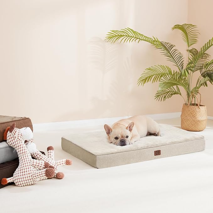EHEYCIGA Waterproof Dog Bed Memory Foam 30x20, Orthopedic Dog Beds Mat for Medium Dogs with Removable Cover, Beige