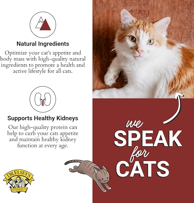 Dr. Elsey's cleanprotein Salmon Recipe Wet Cat Food, Pate 5.3 oz cans (Pack of 24)