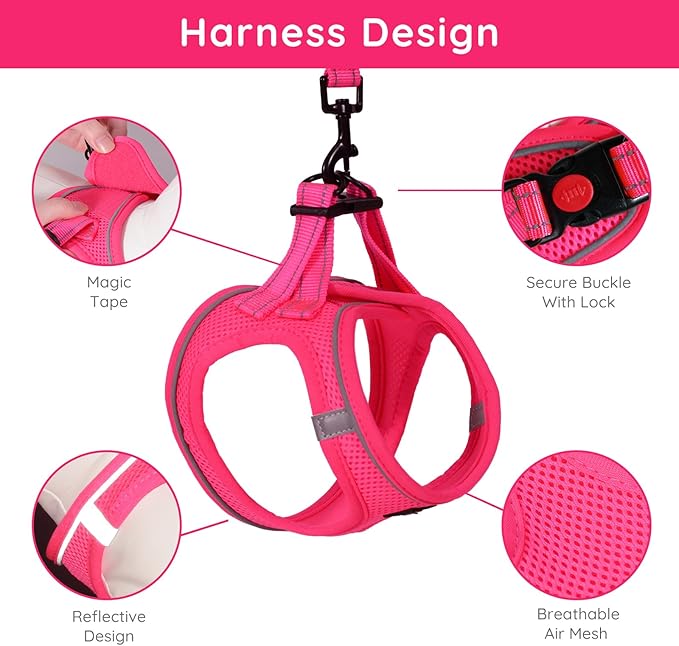 BELLA & PAL Step in Vest Harness for Small and Medium Dogs, No Pull Small Dog Harness with Leash Set, Comfortable Air Mesh Dog Vest Harness with Reflective Strip (Hot Pink, XS)