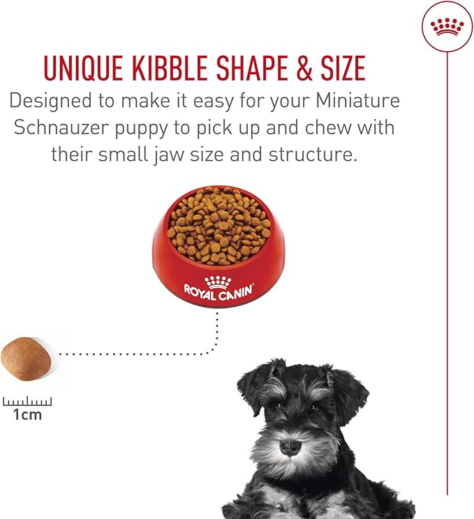 Royal Canin Breed Health Nutrition Miniature Schnauzer Puppy Dry Dog Food, 2.5 lb Bag
