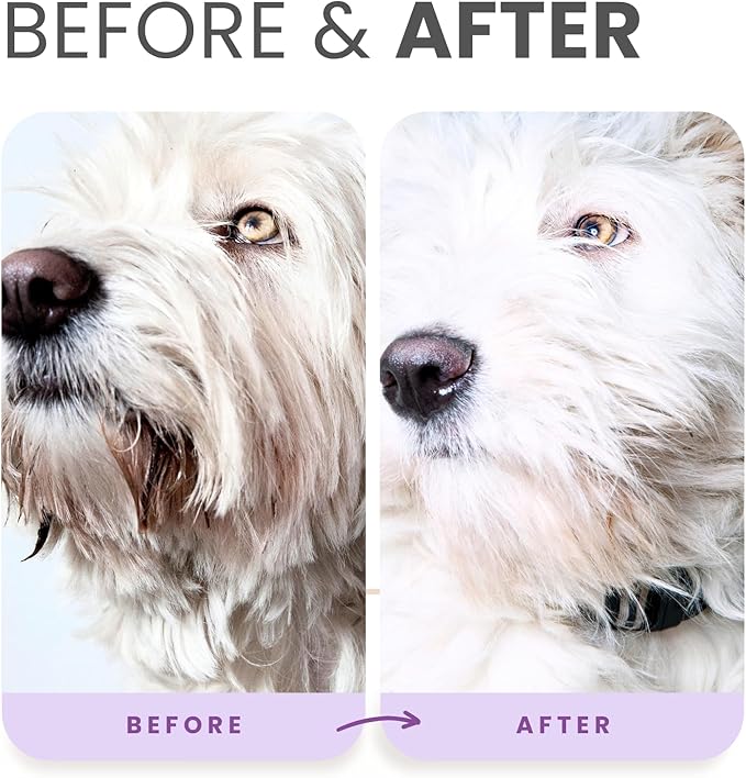 Lillian Ruff PRO Formula Ultra Brightening Dog Shampoo & Leave-in Conditioner Detangler Set - Professional Whitening, Stain Removal, Dematting, Detangling & Odor Control with Aloe & Provitamin B5