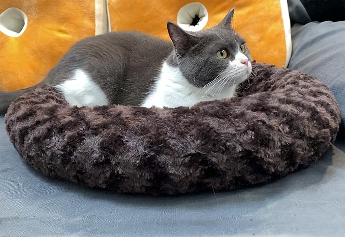 Heated Cat Beds for Indoor Cats Warming Cat Beds Super Soft Machine Washable Thermo Kitty Electric Heating Bed 19 Inches Round