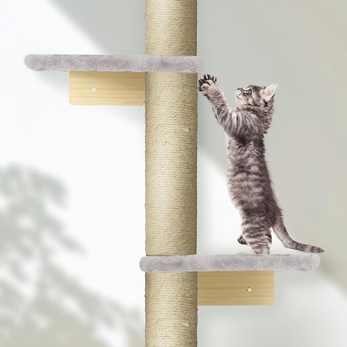 PAWSCRAT Wall-Mounted Cat Tree, 5 Tier Floor to Ceiling Cats Tower, 80 Inch Wall-Mounted Cat Scratching Post, Space Saving Cat Furniture and Easliy Climb for All Cats, Gery