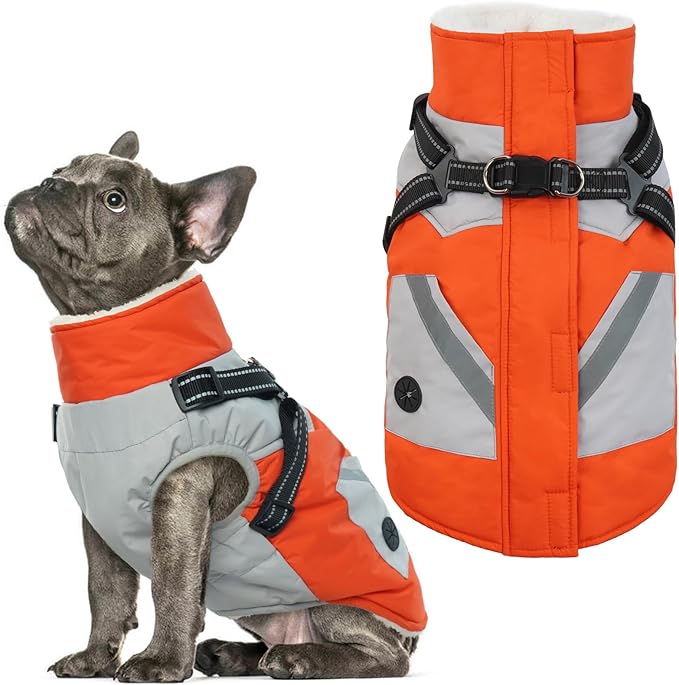 IECOii Dog Coat with Harness Built in - Orange, Large - Waterproof Winter Coat, Fleece Lined Snow Jacket for Dogs