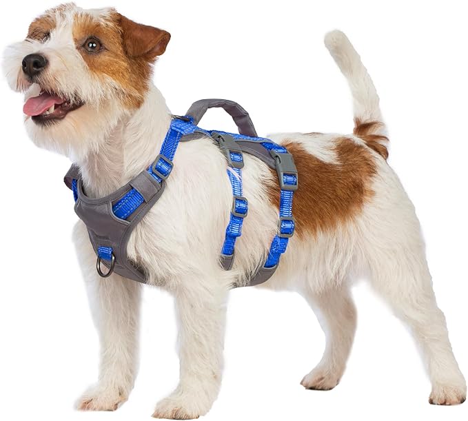 Huntboo Reflective Dog Harness with Handle, Escape Proof, No Slip, Breathable, Lightweight, Adjustable Lift Harness for Small, Medium, and Large Dogs Walking, Training, and Running Gear(Sea Blue,XS)