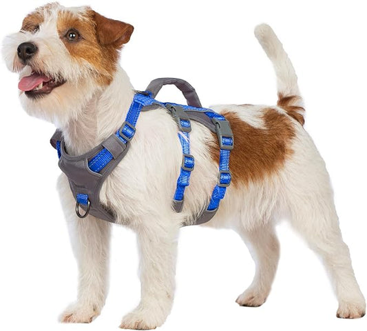 Huntboo Reflective Dog Harness with Handle, Escape Proof, No Slip, Breathable, Lightweight, Adjustable Lift Harness for Small, Medium, and Large Dogs Walking, Training, and Running Gear(Sea Blue,XS)