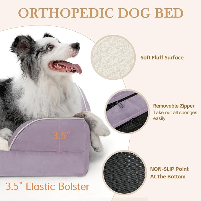 Comfort Expression Orthopedic Dog Bed for Small Dogs 24x16 Inch, Waterproof Supportive Egg Crate Foam Small Pet Bed with Removable Bolsters, Dog Couch with Washable Cover & Non-Slip Bottom, Purple