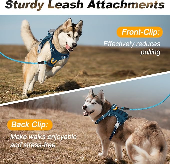 BARKBAY Service Dog Vest Tactical Dog Harness Medium Large Sized Dog Tags Personalized No Pull Adjustable Harness Reflective Working Training Easy Control Military Molle System(Legion Blue,L)