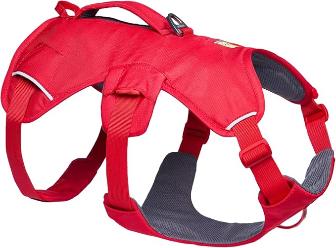 Ruffwear, Web Master, Multi-Use Support Dog Harness, Hiking and Trail Running, Service and Working, Everyday Wear, Red Canyon, Large/X-Large
