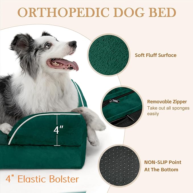 Comfort Expression Orthopedic Dog Bed for Medium Dogs 30x20 Inch, Waterproof Supportive Egg Crate Foam Medium Pet Bed with Removable Bolsters, Dog Couch with Washable Cover & Non-Slip Bottom, Emerald